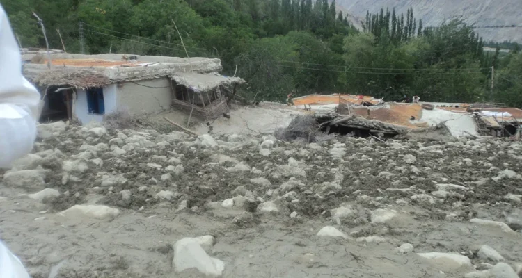 WhatsApp Image 2025-06-12 at 13.20.52_099be645